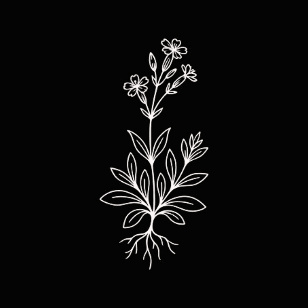 African Dream Root