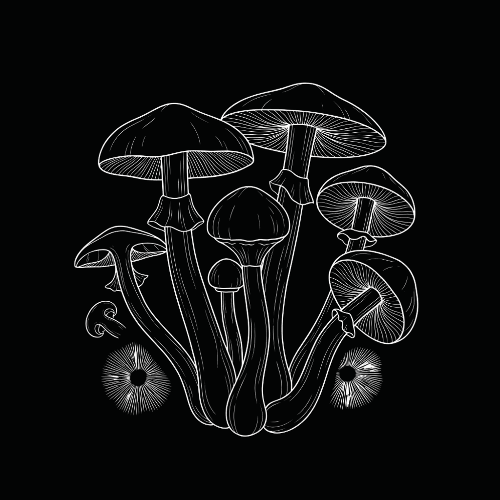 Magic Mushrooms