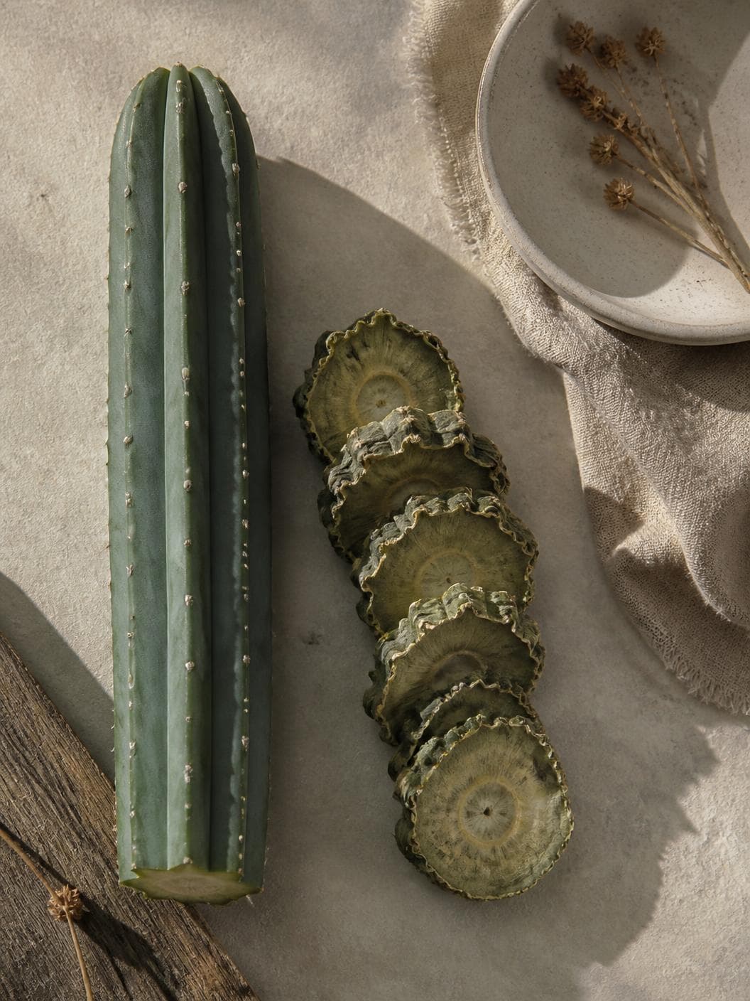 Seen from above on pale stone: a thick ribbed blue-green cactus stem cut flat at one end, five dried cross-section discs overlapping beside it with scalloped curling edges, a speckled dish of dried seed heads and folded linen at the top right.