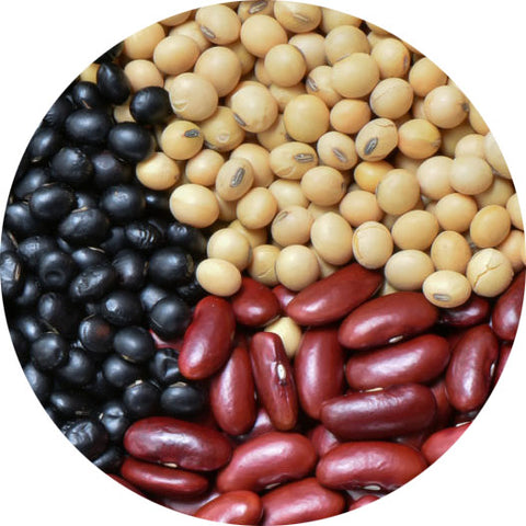 Grains, Rice, Beans & Legumes