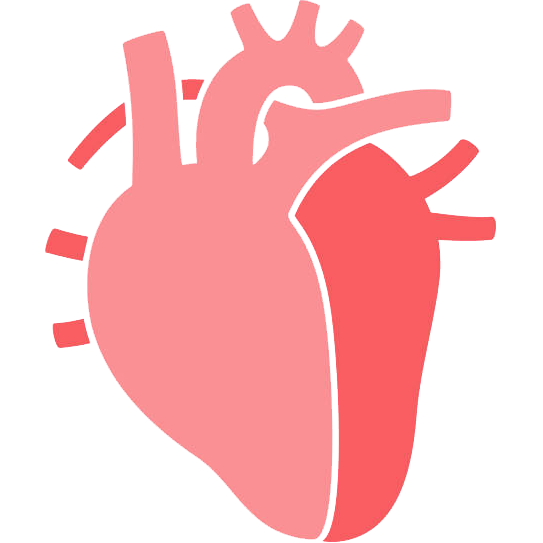 Heart & Circulation Support
