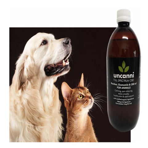Uncanni CBD Rooibos Oil
