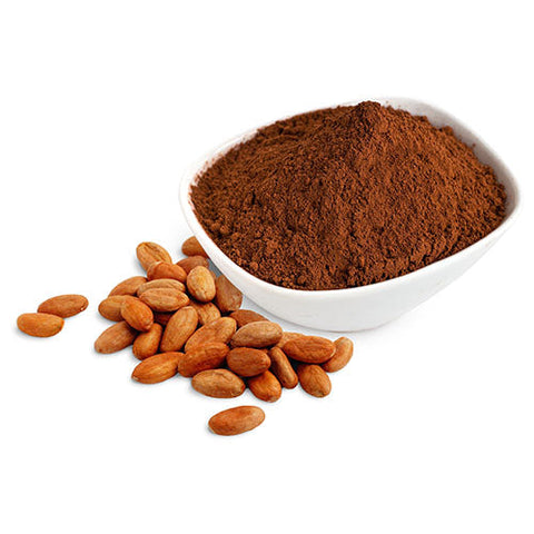 Cacao_Powder_413e5cc1-a670-4366-a1c8-0d556e5ffb5a.jpg