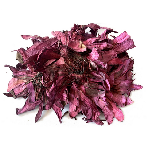 Dried Pink Lotus Flower