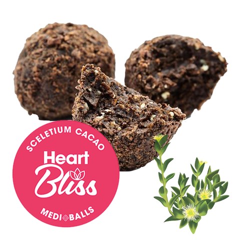 blissballs_heart_0b2a8292-22dd-4e97-9409-ded87833e2b5.png