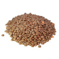 lentils_63ff3825-486e-4ff5-9f8c-b3fad3e68181.jpg