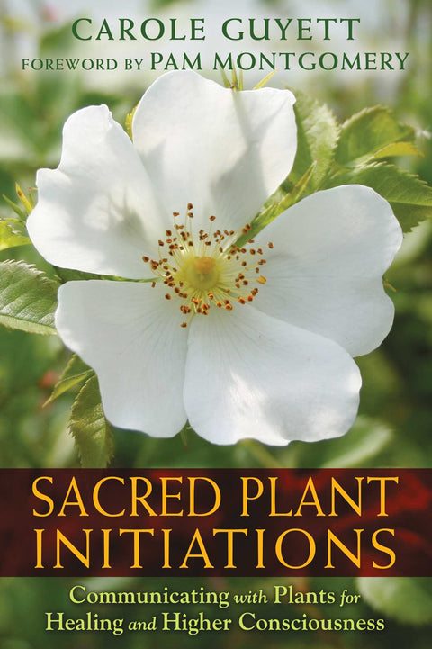 sacred-plant-initiations-9781591432135_hr.jpg