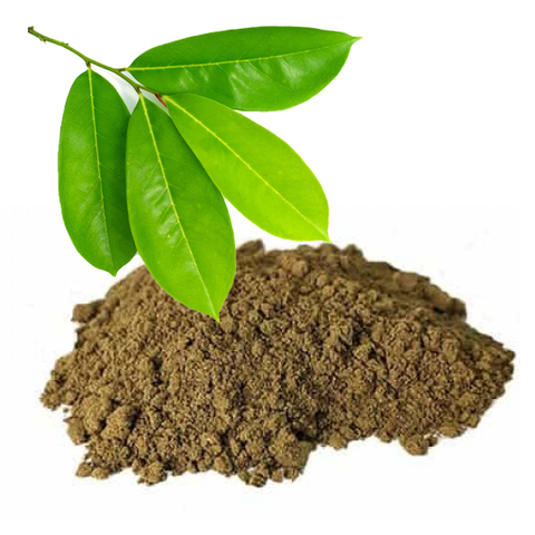 soursop leaf.png
